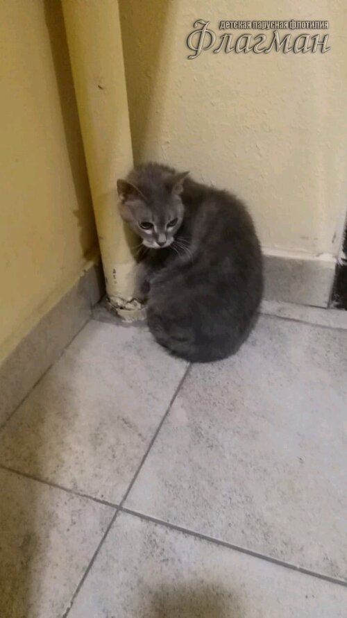 Занятиях в детском клубе «Флагман»